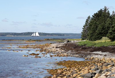 Bluenose II seen from Blue Rocks